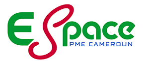 Espace PME Cameroun